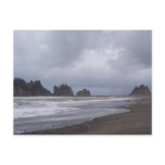 First Beach At LaPush Postcard