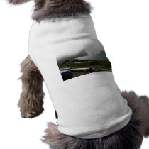 First Beach Pet Clothes