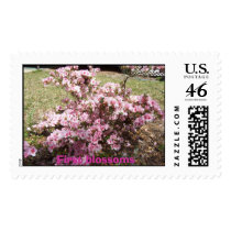 First Blossems, First blossoms postage by Glassman1011 First Blossems, First blossoms postage