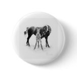 First Born Pinback Buttons
