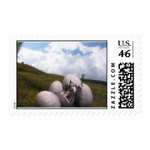 First Born? postage by Brian_Simes First Born? postage