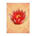 First Chakra Gift Postcards