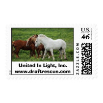 First Class Postage