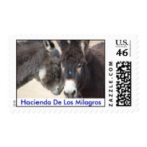 First Class Postage