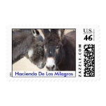 First Class Postage