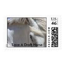 First Class Postage