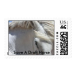 First Class Postage