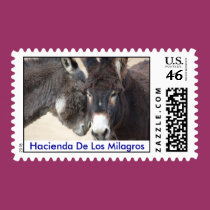 First Class Postage stamps