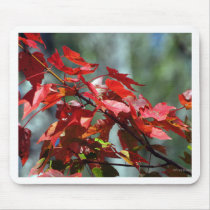 First Colors Of Fall mousepads by FNolan First Colors Of Fall mousepads