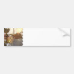 First Communion  Bumper Sticker