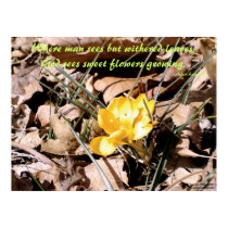 First Crocus of Spring posters