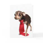 first day, new job greeting card