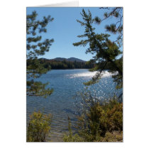 First Day of Autumn 2007 in the Adirondacks 4 cards