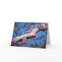 First Day of Spring cards by skeri83 First Day of Spring cards