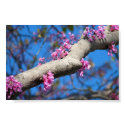 First Day of Spring posters by skeri83 First Day of Spring posters
