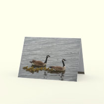 First Day Parade cards by MoiraAshleigh First Day Parade cards