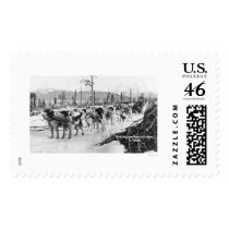 First Dog Team Alaska 1910 Postage Stamp