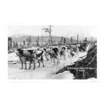 First Dog Team Alaska 1910 posters