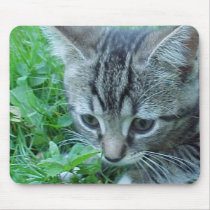 First Explore mousepads by disgustedcats First Explore mousepads