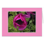 "First Flower" Card