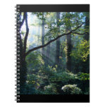First Light Notebook