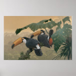 "First Light" posters