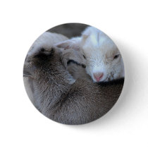 First Love buttons by laureenr First Love buttons
