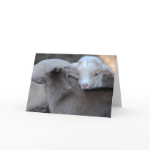 First Love cards by laureenr First Love cards