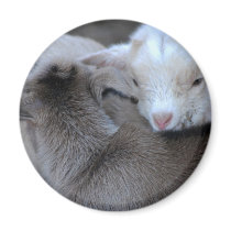 First Love magnets