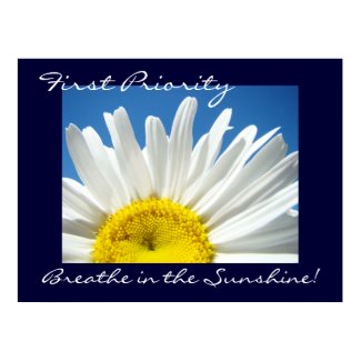 first Priority art prints Breathe in the Sunshine! print