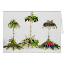 First Prize for Table Decoration Greeting Cards