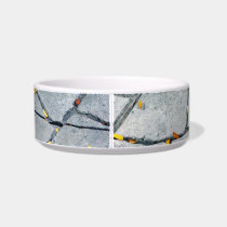 first sign of autumn pet bowls