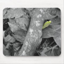 First sign of Spring mousepads by JeanC_PurpleDucky First sign of Spring mousepads