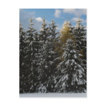 First Snow 2009 postcards by FNolan First Snow 2009 postcards