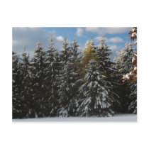 First Snow 2009 postcards by FNolan First Snow 2009 postcards