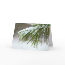 First Snow cards by elyssa444 First Snow cards