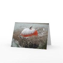 First Snow cards by nbrown2 First Snow cards