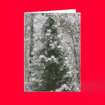 First Snow cards
