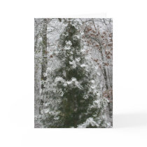 First Snow cards by Paddydee56 First Snow cards