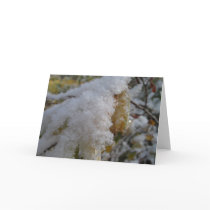 First Snow cards by woehler First Snow cards