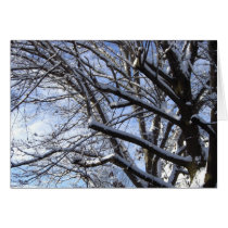 First Snow cards by gubanich First Snow cards