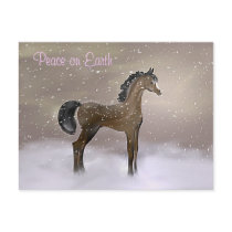 "First Snow" ~ Holiday Postcard by ColtsCanines "First Snow" ~ Holiday Postcard