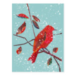 First Snow Holiday Season Postcard