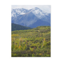 First Snow in Colorado's San Juan Mts. postcards by bluerabbit First Snow in Colorado's San Juan Mts. postcards