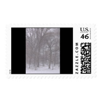 First Snow of the Winter postage by Tareyn07 First Snow of the Winter postage