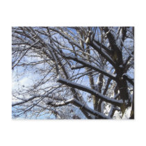 First Snow postcards by gubanich First Snow postcards