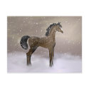 "First Snow" ~ Postcard by ColtsCanines "First Snow" ~ Postcard