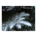 First Snow posters