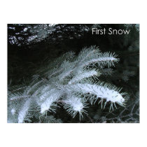 First Snow posters