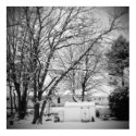 First Snow posters